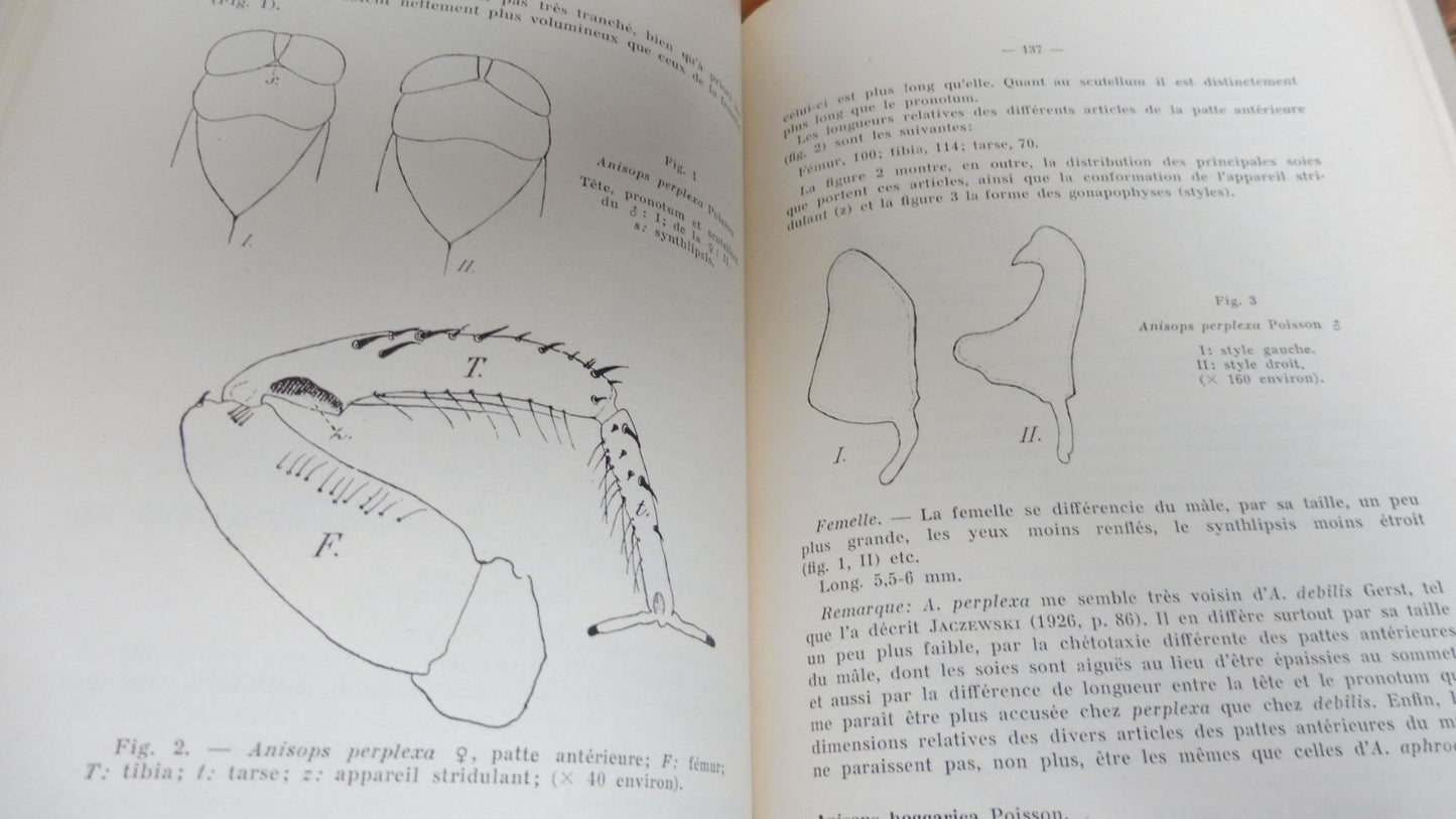 Etudes zoologiques sur le Sahara central (L.-G. Seurat) 1934