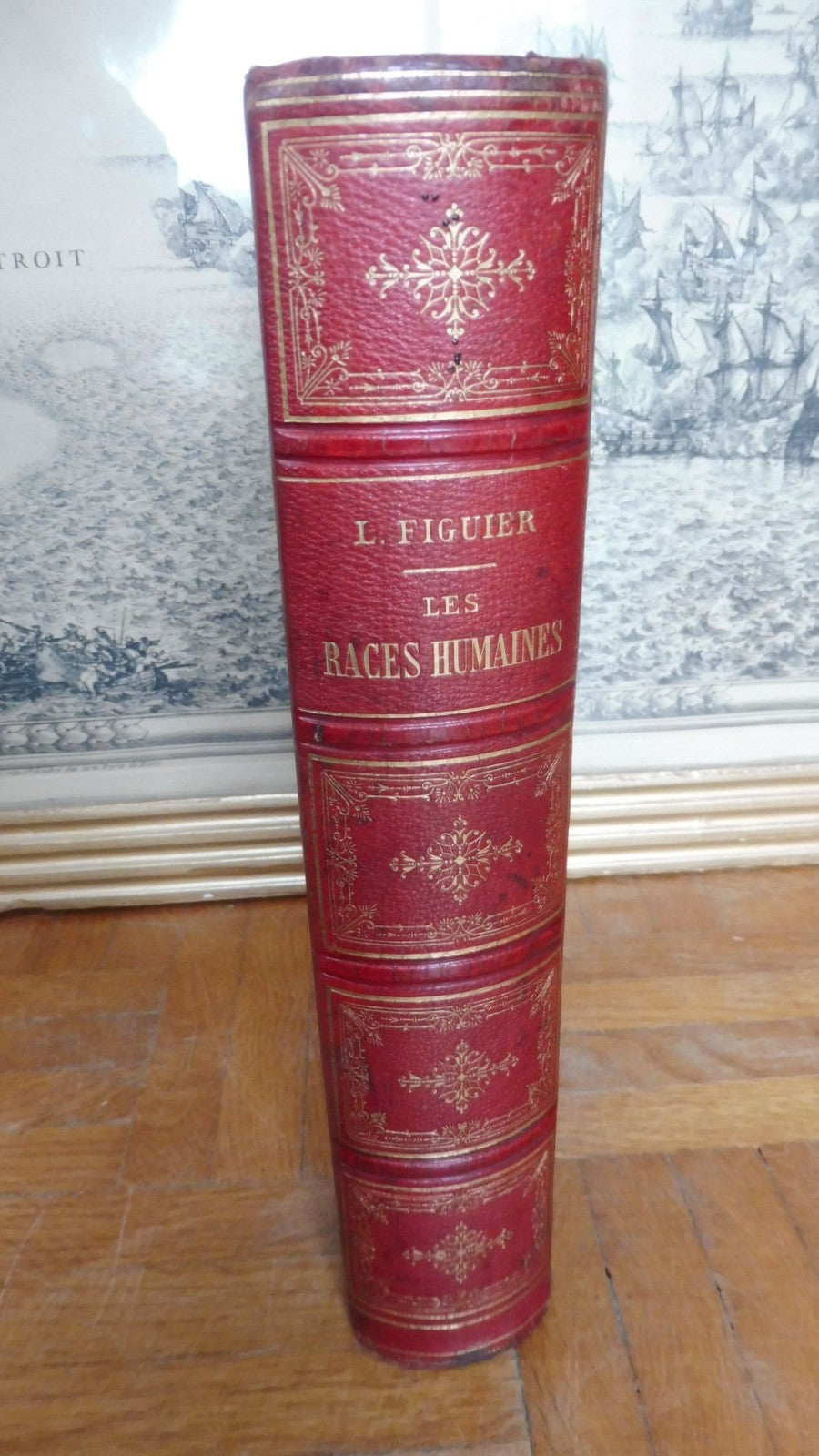Les Races humaines (Louis Figuier) 1872