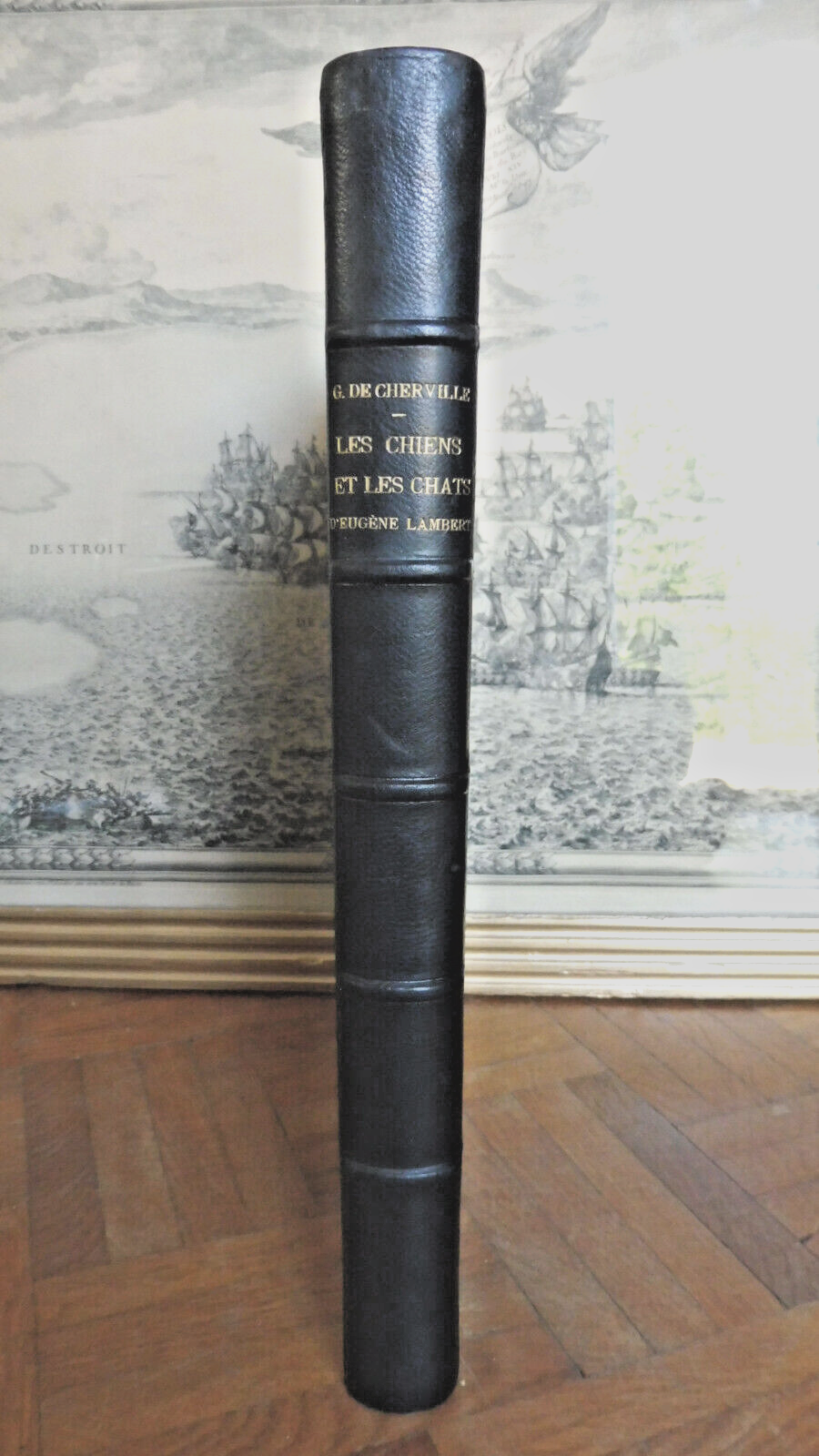 Les Chiens et les chats d'Eugène Lambert (de Cherville) 1888