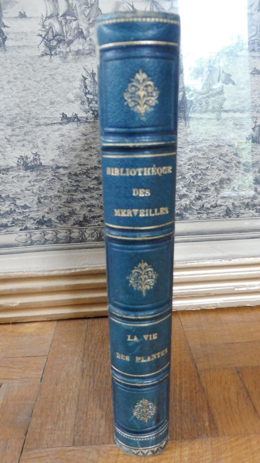 La Vie des plantes (H. Bocquillon) 1868