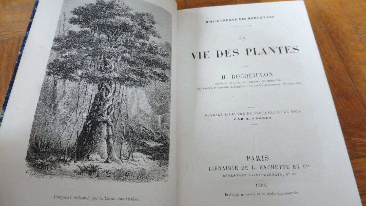 La Vie des plantes (H. Bocquillon) 1868