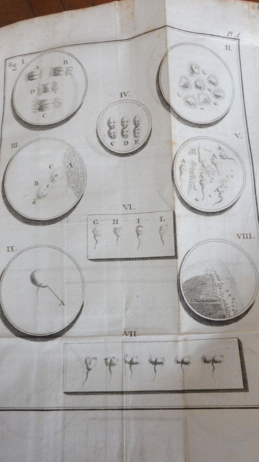 Oeuvres de Spallanzani (Lazzaro Spallanzani) 1786-87 3 vol BIOLOGIE