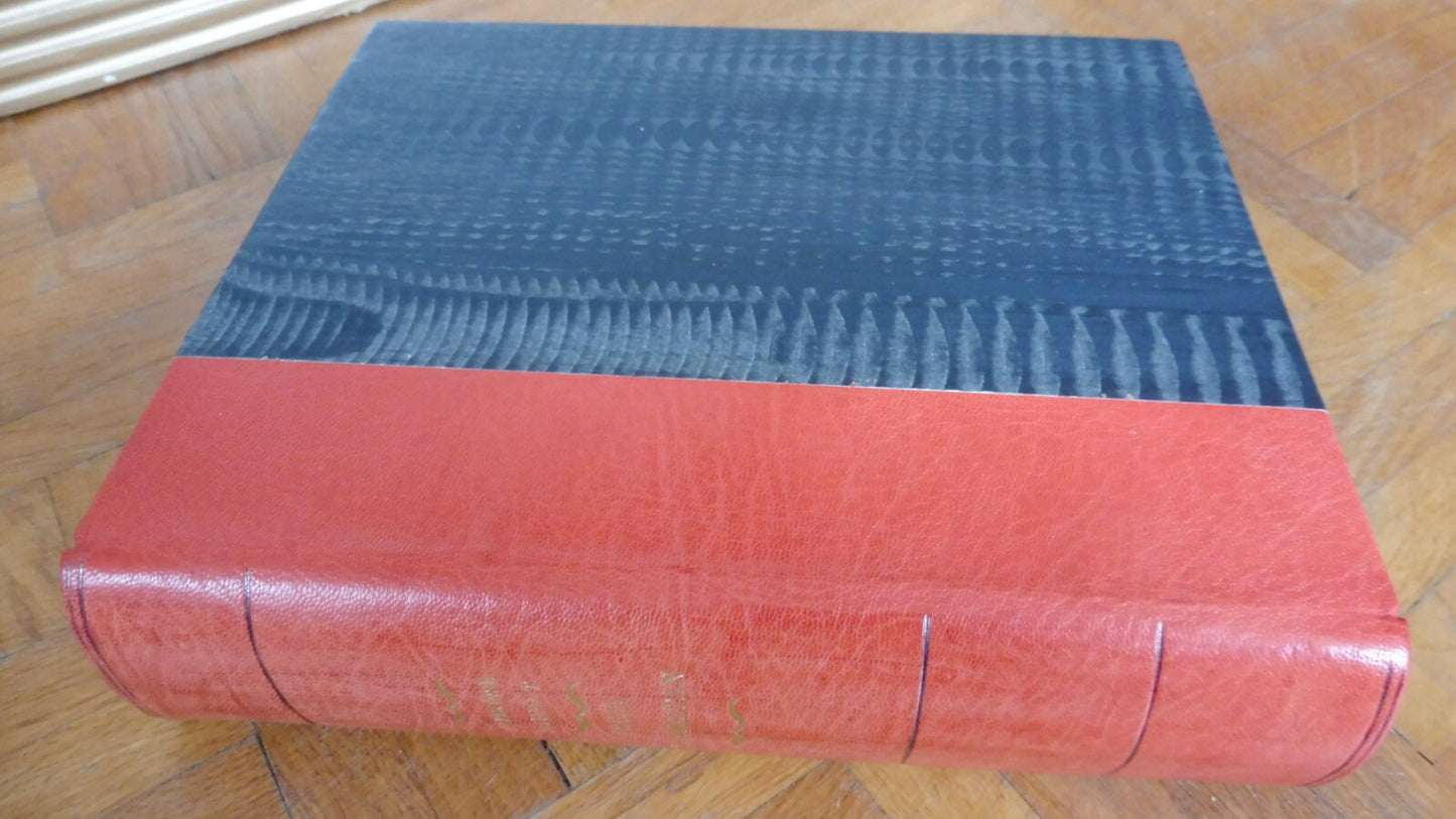 Nouma Roumestan + L'Evangéliste (Alphonse Daudet) 1929 illus. Quelvée & Alix