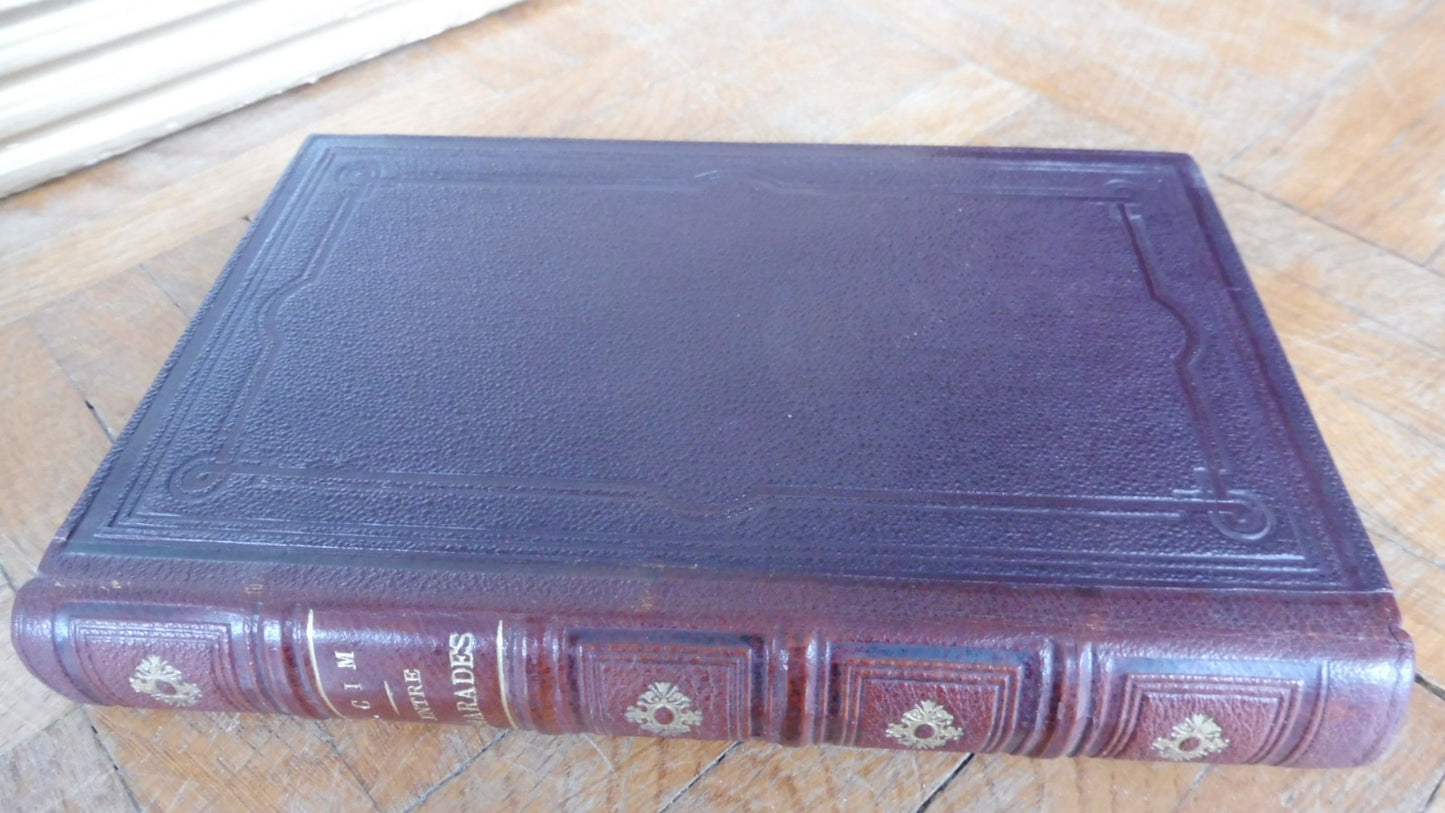 Entre camarades (Albert Cim) 1895 illus. Bergevin