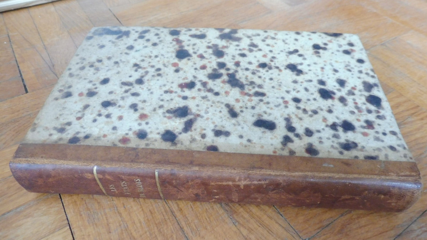 Les Etats de Blois (Louis Vitet) 1829