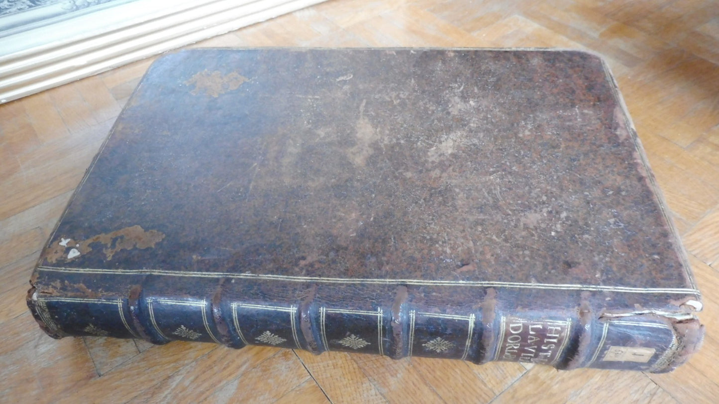 Histoire et antiquitez de la ville d'Orléans (François Le Maire) 1648 IN FOLIO
