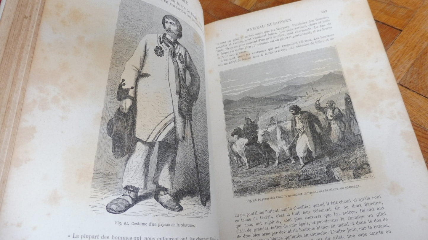 Les Races humaines (Louis Figuier) 1872
