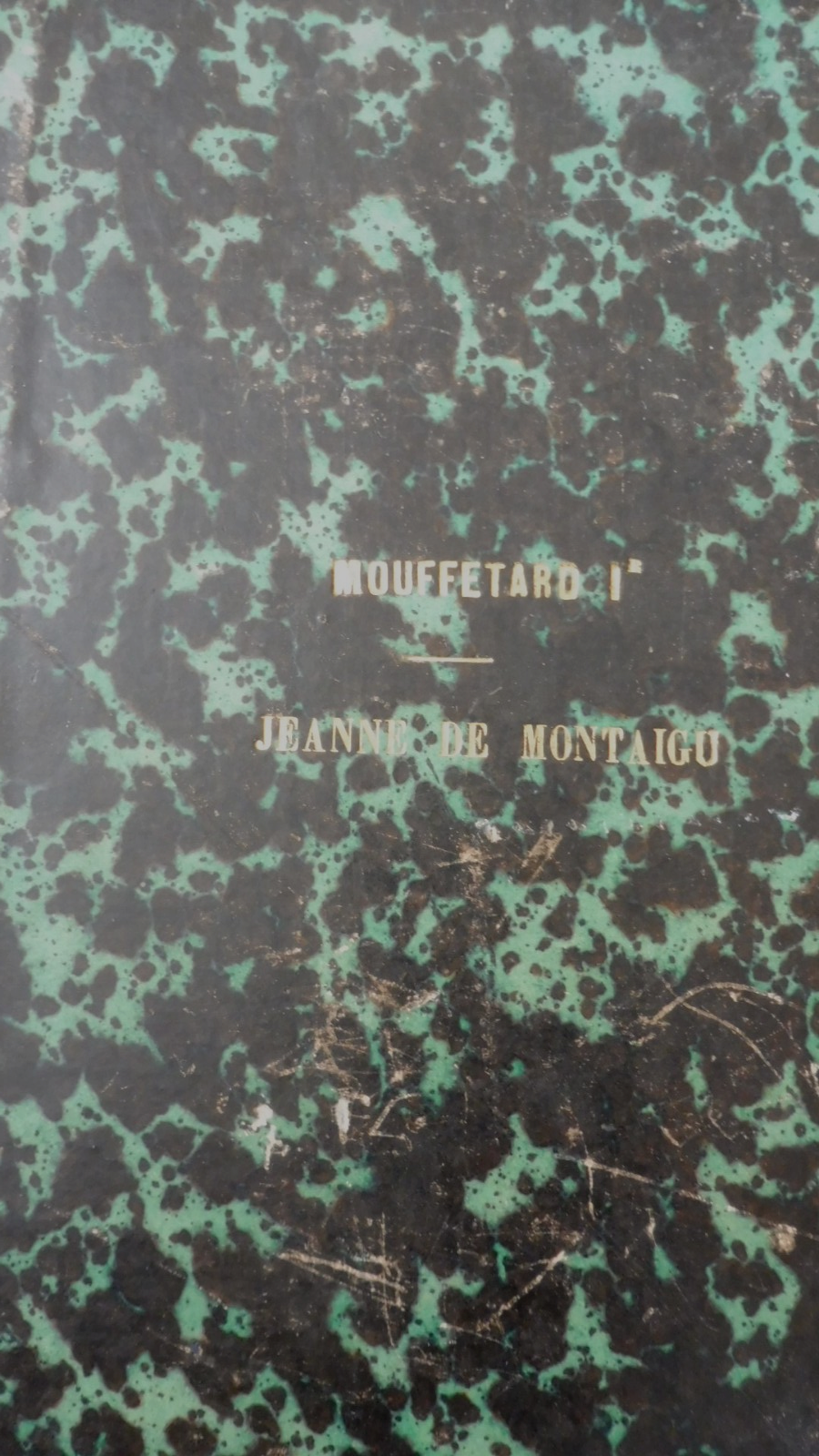 Voyages illustrés (Émile Bernard. dir.) 4 vol.