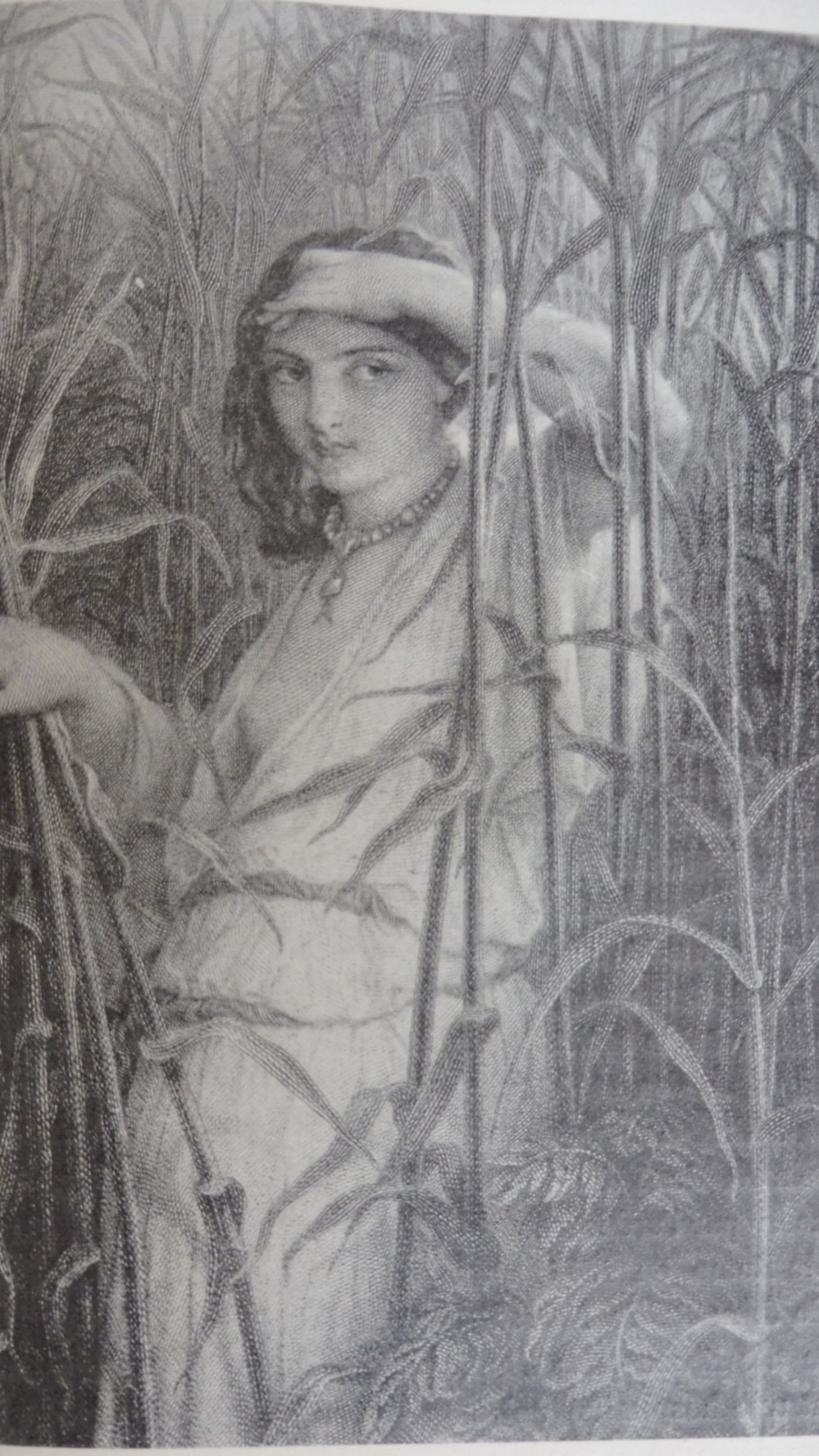 La Gravure (Léon Rosenthal) 1909