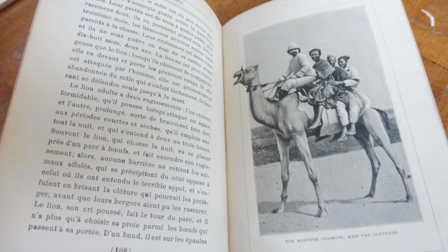 Les Touaregs (Capitaine Aymard) 1911