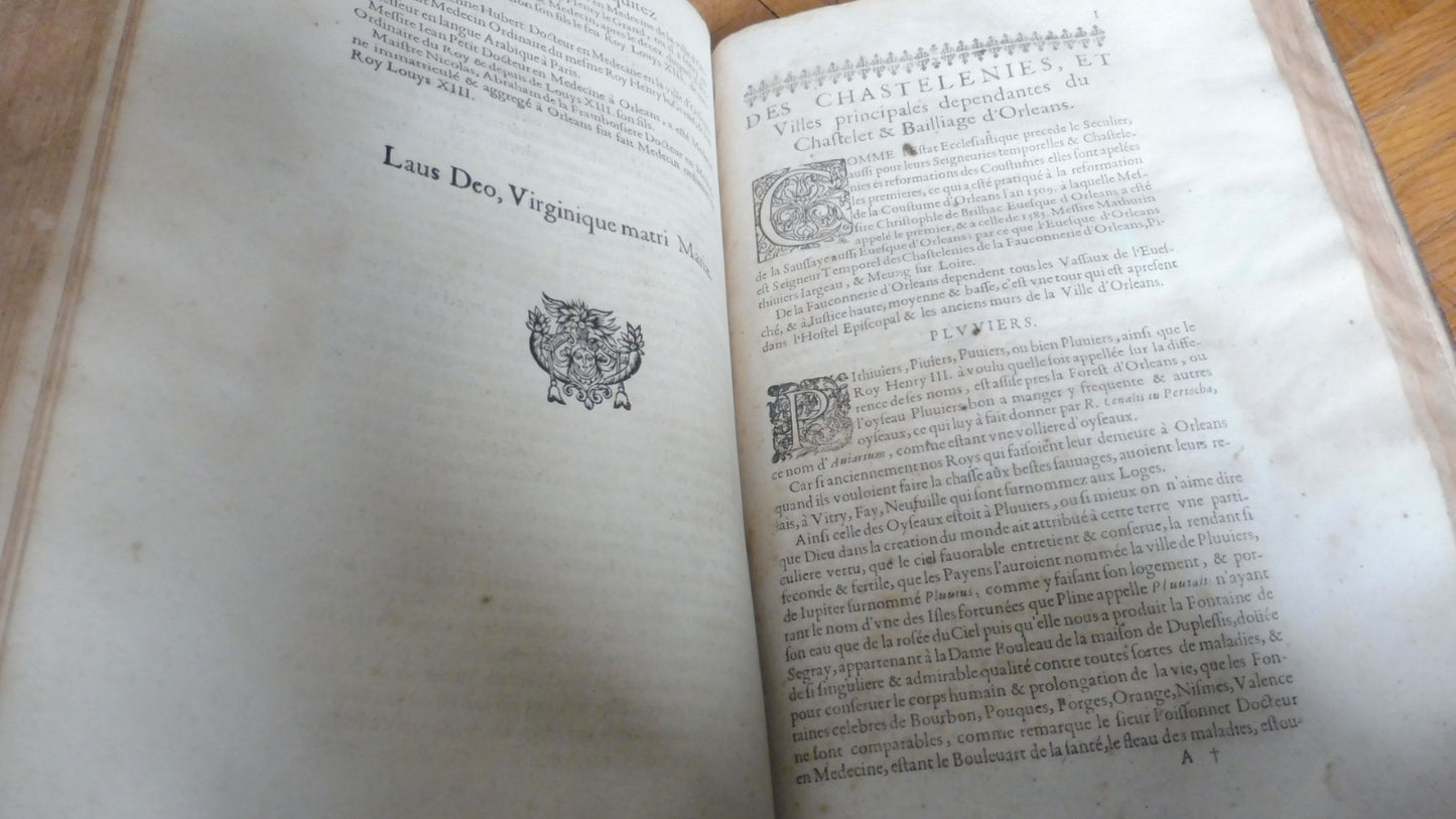 Histoire et antiquitez de la ville d'Orléans (François Le Maire) 1648 IN FOLIO