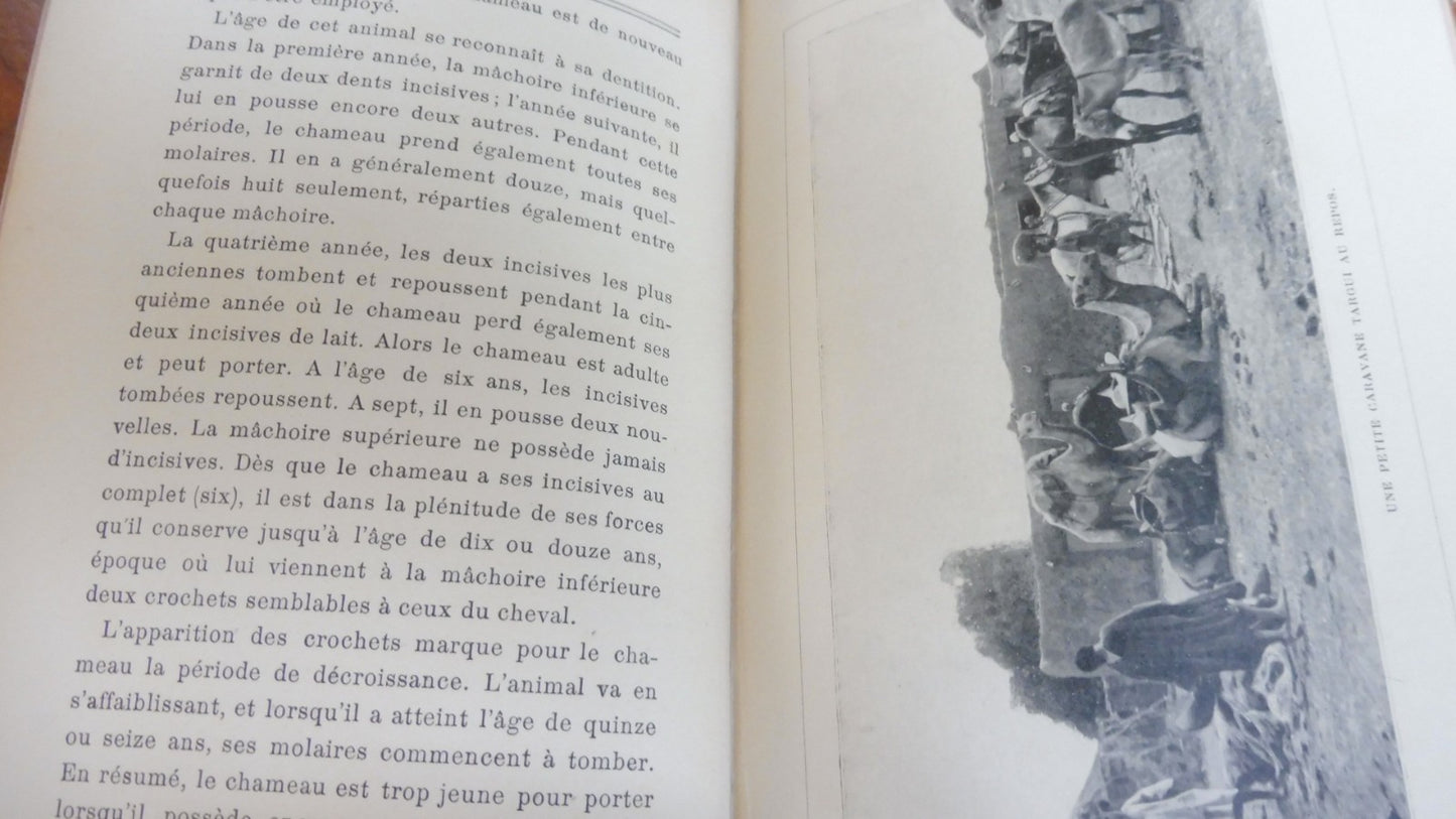 Les Touaregs (Capitaine Aymard) 1911