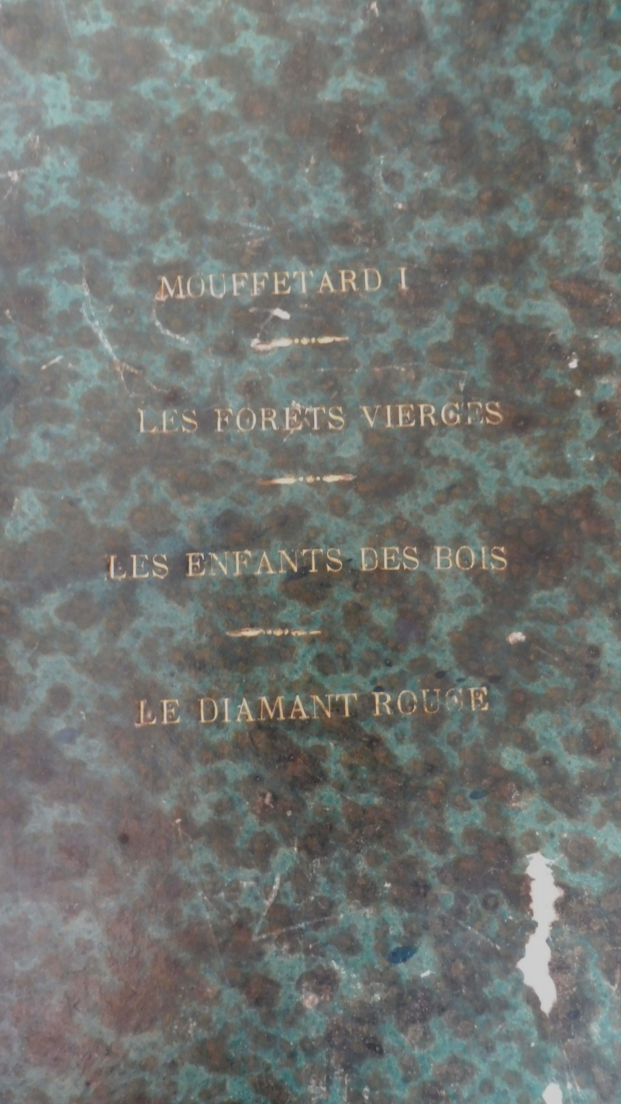 Voyages illustrés (Émile Bernard. dir.) 4 vol.