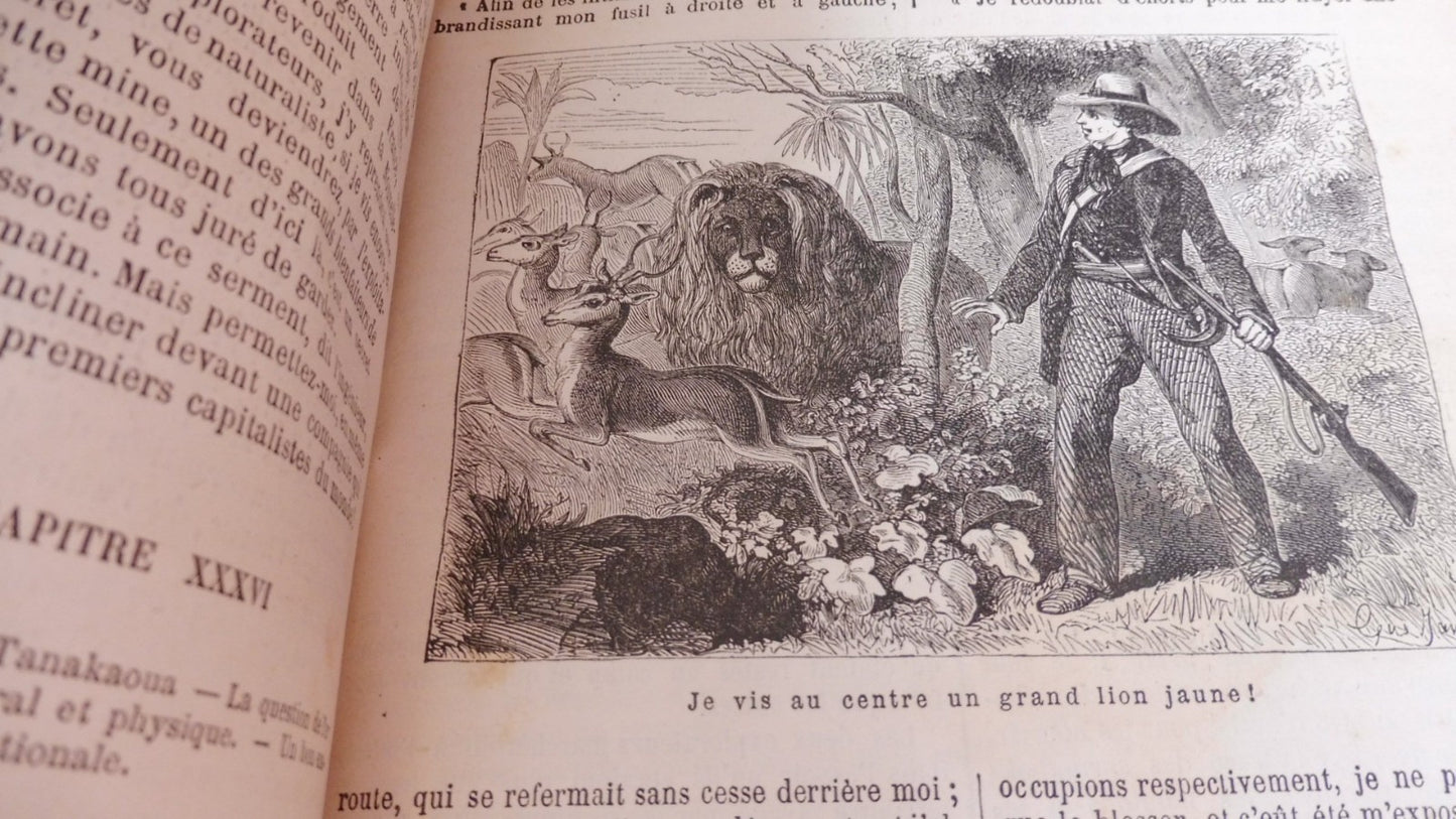 Voyages illustrés (Émile Bernard. dir.) 4 vol.