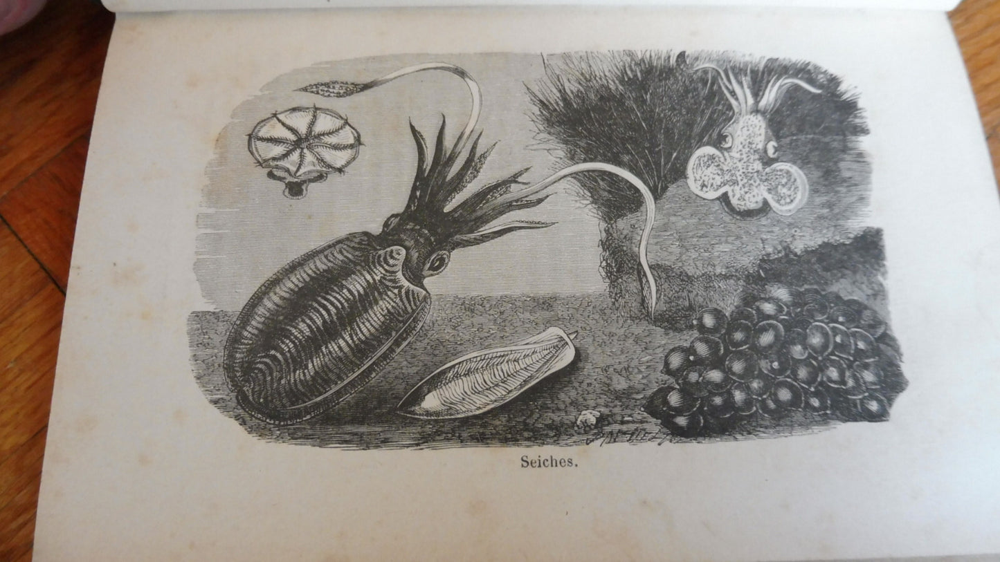 La Mer (Armand Dubarry) 1886