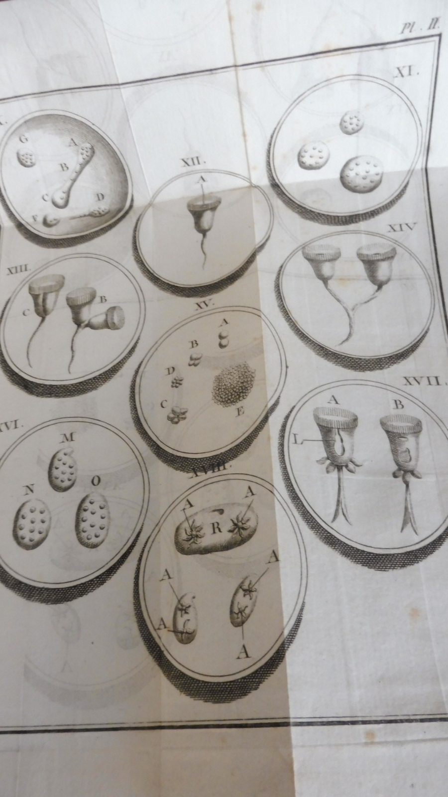 Oeuvres de Spallanzani (Lazzaro Spallanzani) 1786-87 3 vol BIOLOGIE