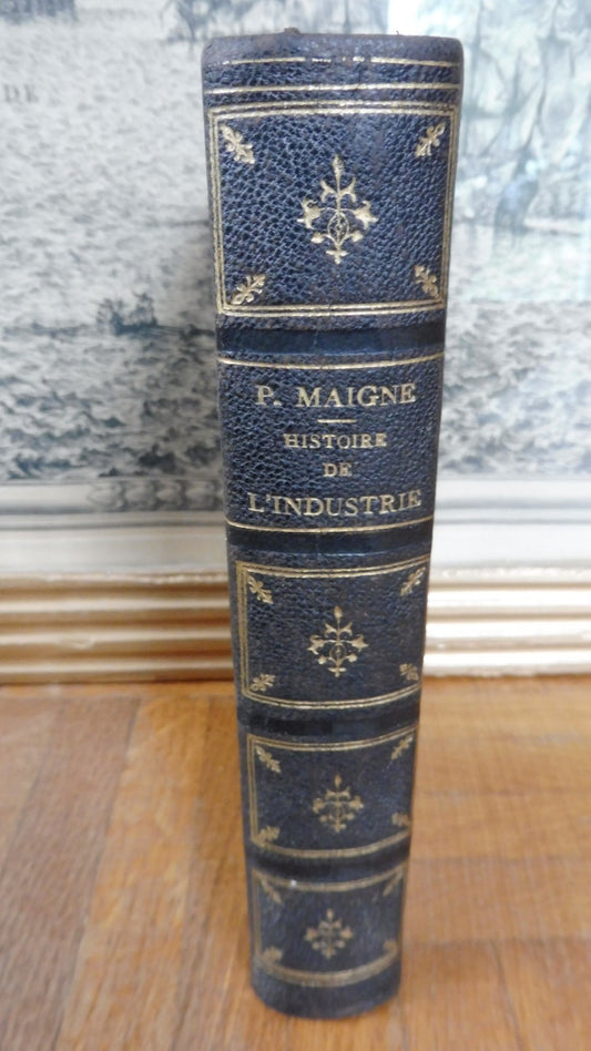 Histoire de l'Industrie (P. Maigne) 1874
