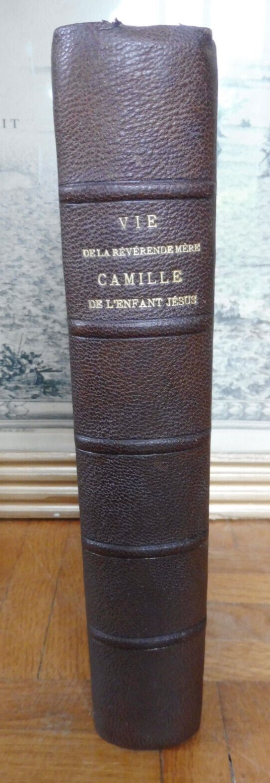 Vie de la Révérende mère Camille de l'Enfant-Jésus (D'Hulst) 1897