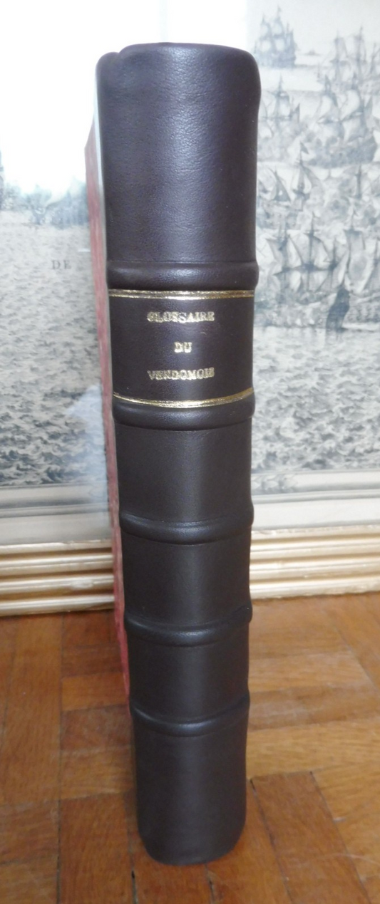 Glossaire du vendômois (Paul Martellière) 1893