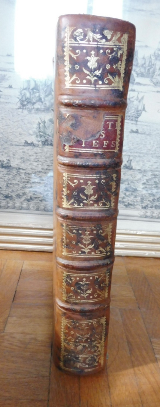 Traité des fiefs (Claude Poquet De Livonière) 1771