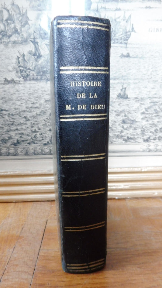 La Vierge. Histoire de la Mère de Dieu (abbé Orsini) 1837