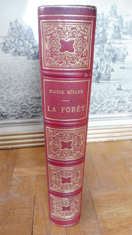 La Forêt. Son histoire. Sa légende. Sa vie. Son rôle (Eugène Muller) 1878