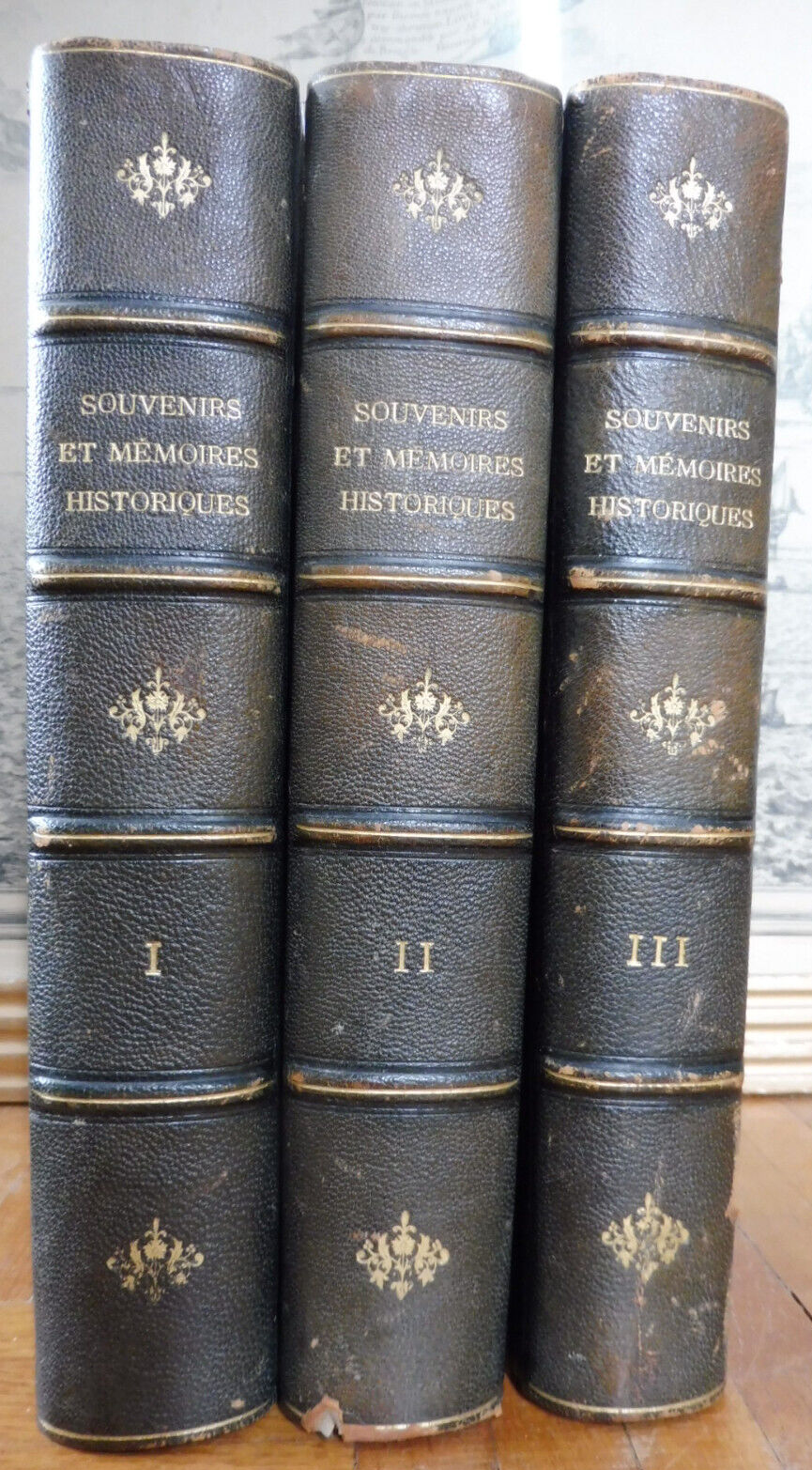 Souvenirs et mémoires historiques 15 vol. en 3 tomes