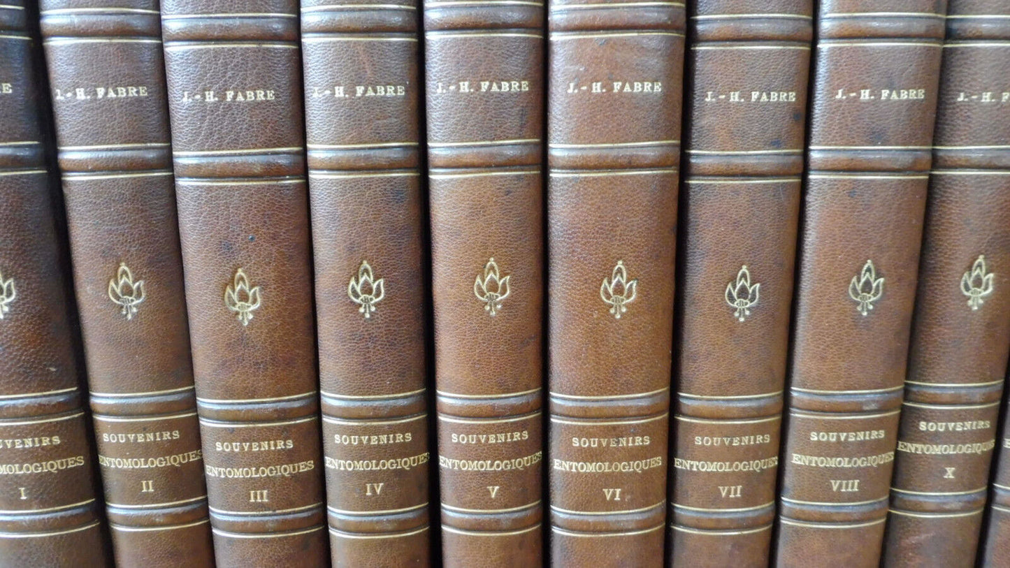 Souvenirs entomologiques (J.-H. Fabre) + Vie de Fabre (Legros) 1925 11/11