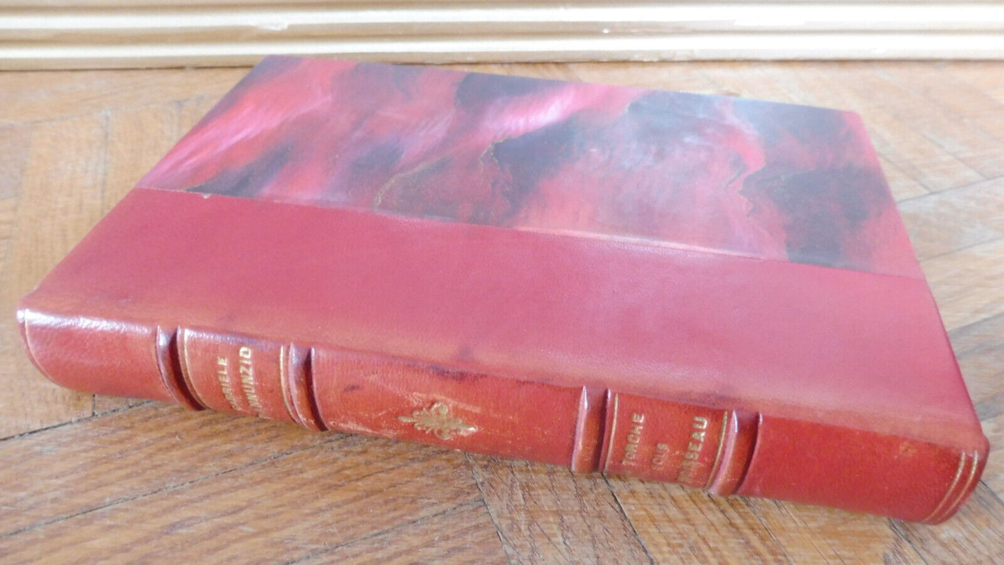 La Torche sous le boisseau (Gabriele D'Annunzio) 1928 NUMEROTE HOLLANDE