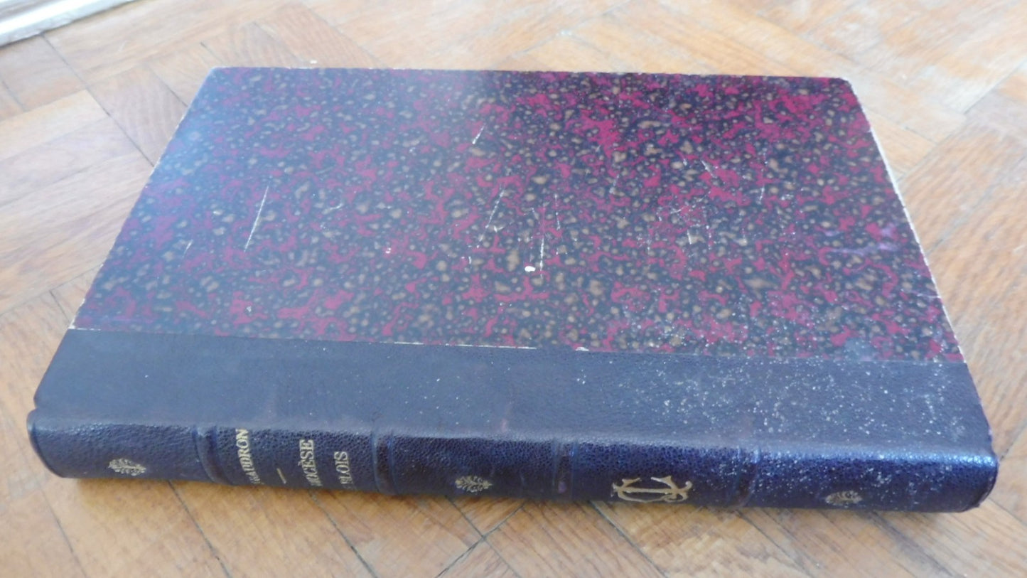 Essai historique sur le Diocèse de Blois (Gaudron) 1870
