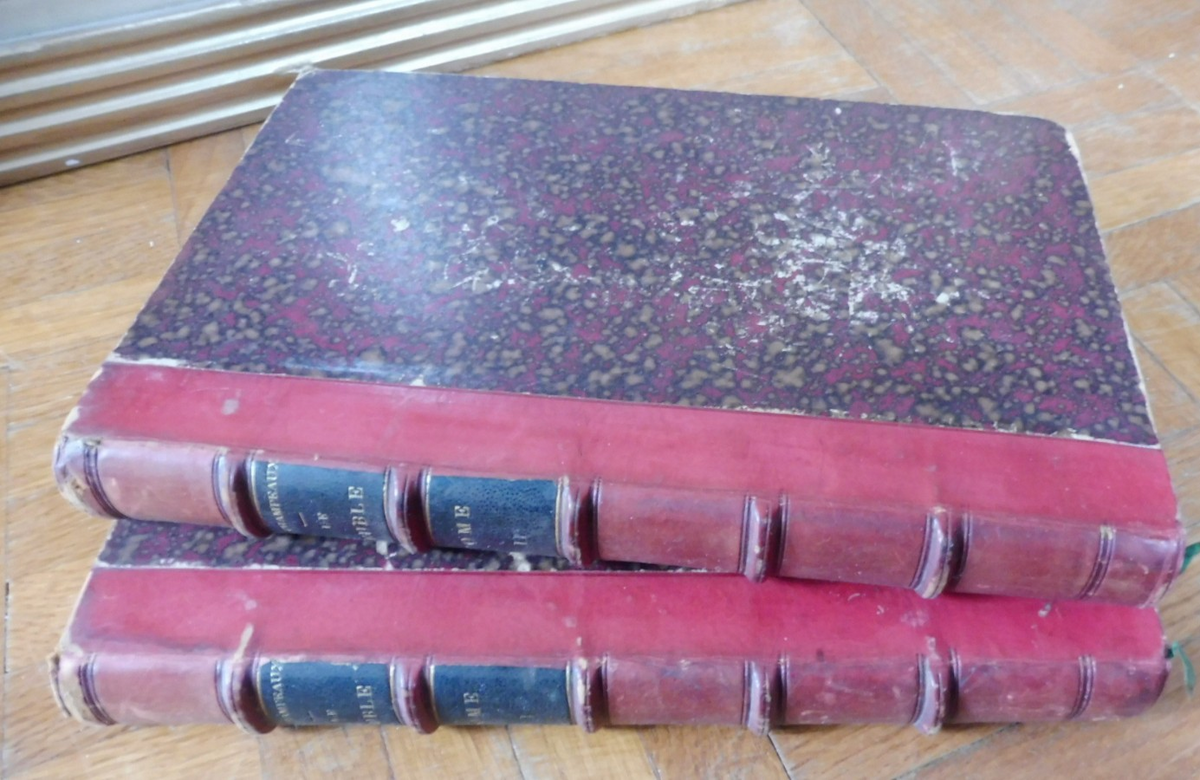 Le Meuble, de l'antiquité au XIXe siècle (Alfred De Champeaux) s.d. 2/2