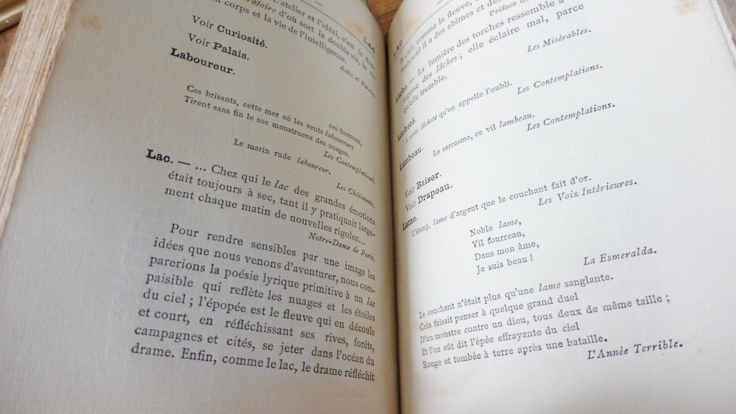 Dictionnaire des métaphores de Victor Hugo (Georges Duval) 1888