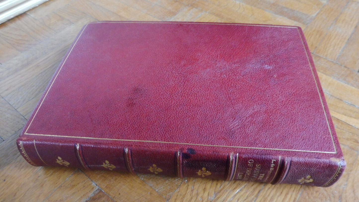 The Sunny side of diplomatic life (Lillie Hegermann-Lindencrone) 1914 SIGNE