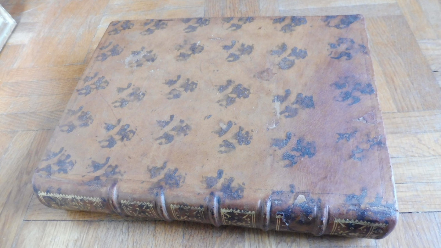 Traité des fiefs (Claude Poquet De Livonière) 1771