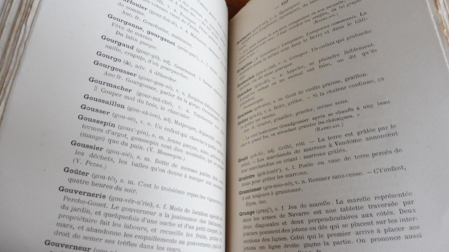 Glossaire du vendômois (Paul Martellière) 1893
