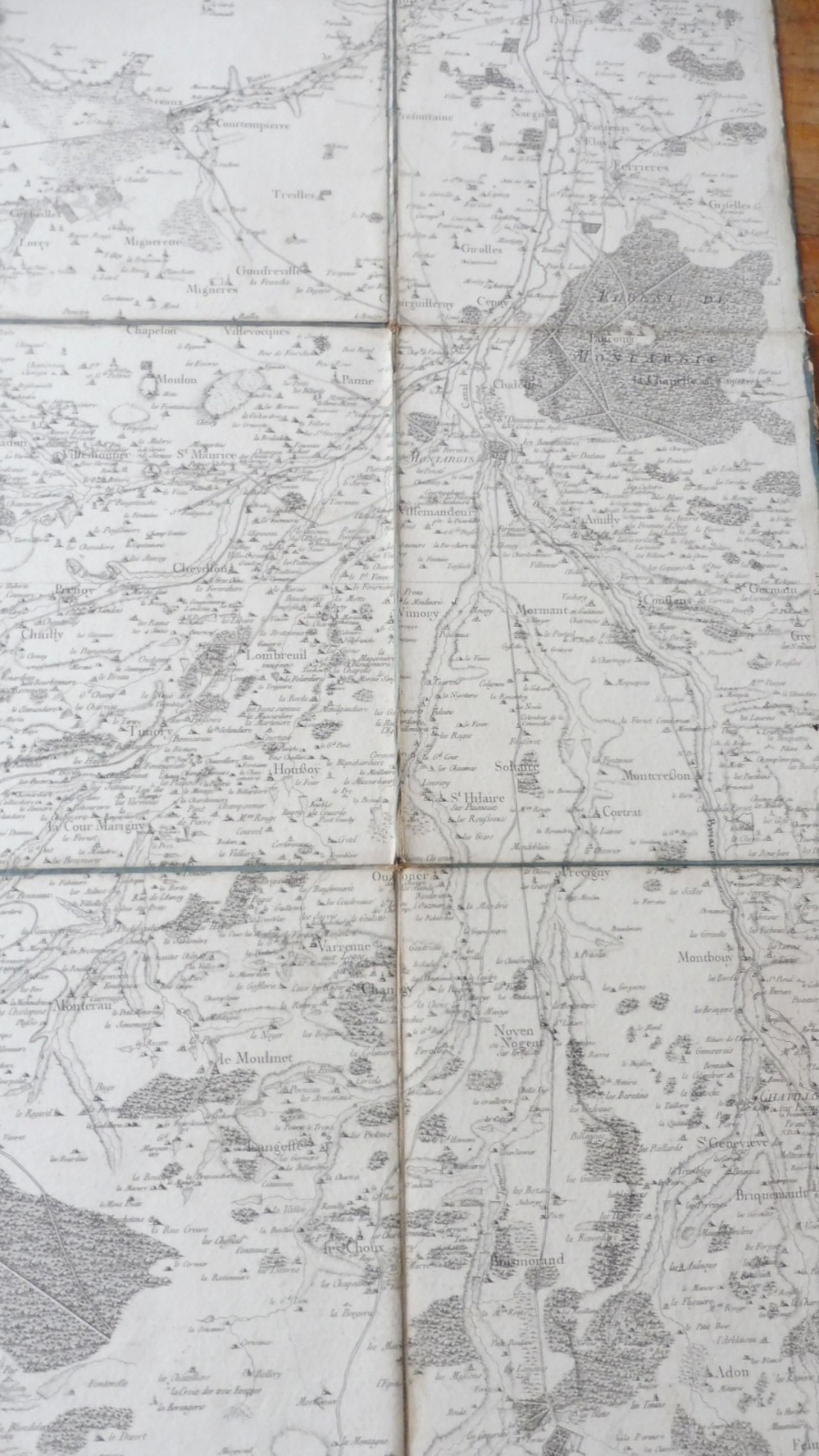 Carte de la forêt d'Orléans XVIIIe siècle 91x48 cm