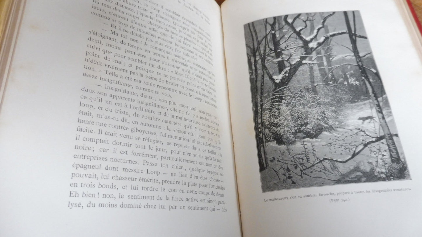 La Forêt. Son histoire. Sa légende. Sa vie. Son rôle (Eugène Muller) 1878