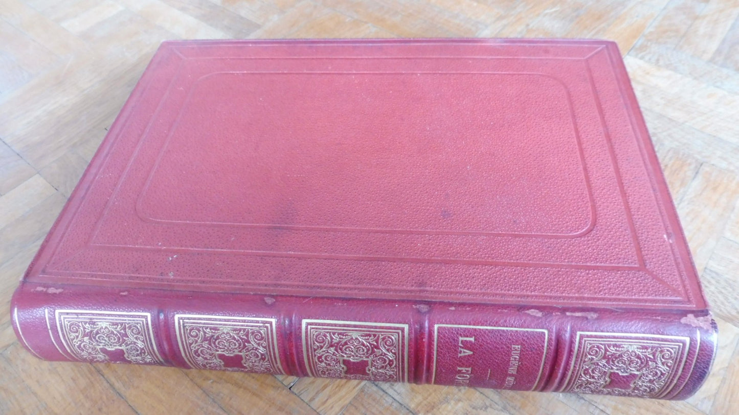 La Forêt. Son histoire. Sa légende. Sa vie. Son rôle (Eugène Muller) 1878