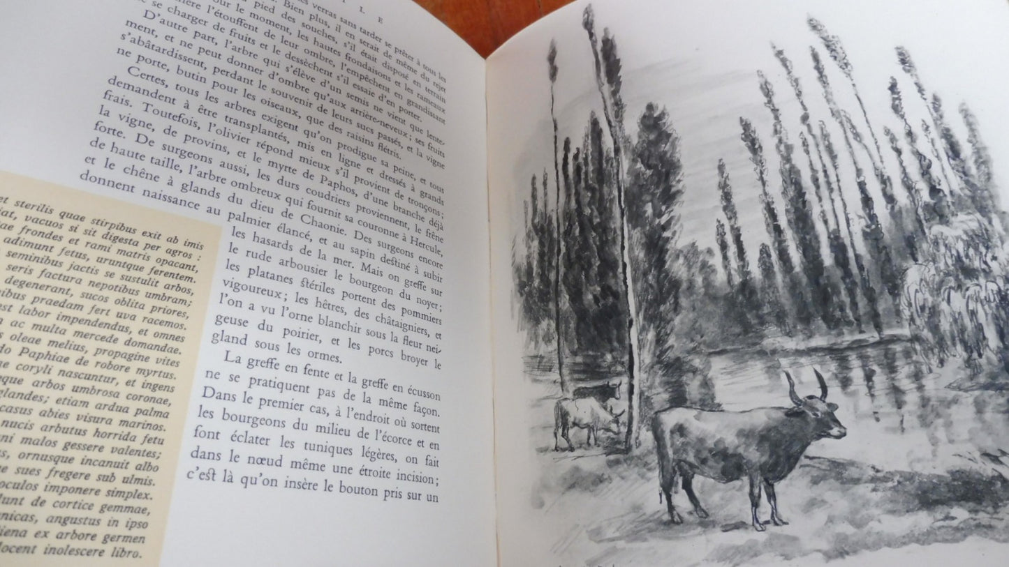 L'Enéide. Les Bucoliques. Lucrèce (Virgile) illus. Mahn, Legrand & Chièze 4/4