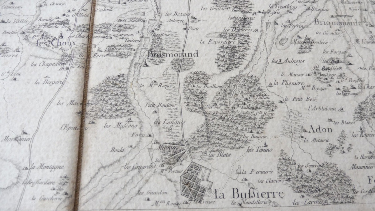 Carte de la forêt d'Orléans XVIIIe siècle 91x48 cm